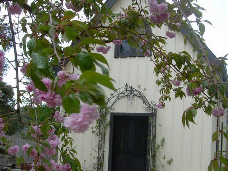 Silverleaf Cottage Rye Exterior photo